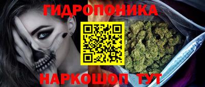 крисы Заводоуковск