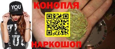 крисы Заводоуковск