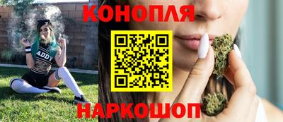 крисы Заводоуковск