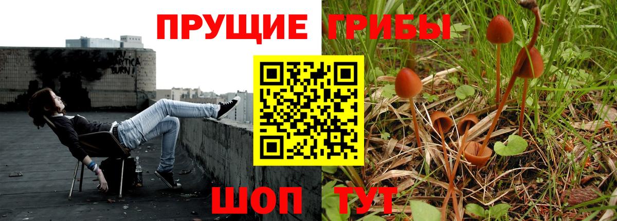 Можайск  Псилоцибиновые грибы мицелий  Вход с VPN 